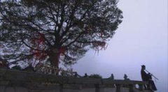 CCTV䮔oƬȫ