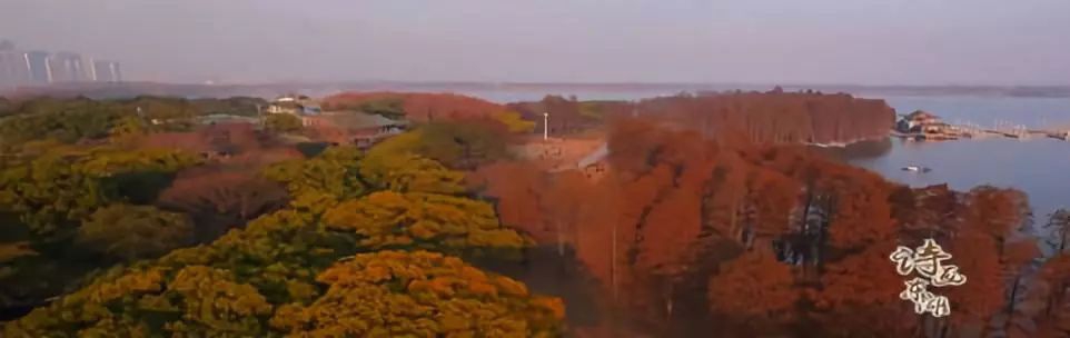 武漢東湖景區