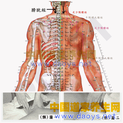 頸部位撥經按摩- 背部筋膜疏理撥經按摩手法—讓你遠離病痛 道家養生網