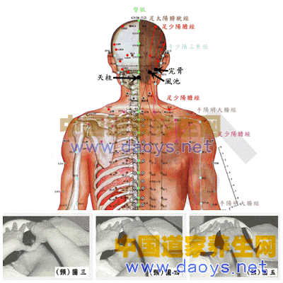 頸部位撥經按摩- 背部筋膜疏理撥經按摩手法—讓你遠離病痛 道家養生網