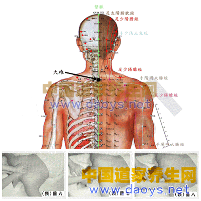 頸部位撥經按摩- 背部筋膜疏理撥經按摩手法—讓你遠離病痛 道家養生網