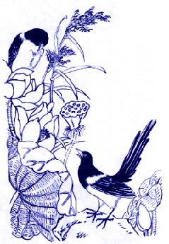 AʮD