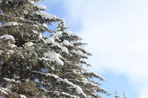 `Դ衷ꐔtע29޵ 