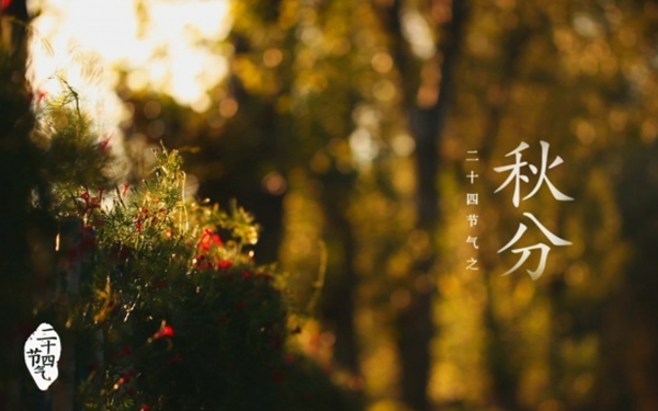 ^\ y󼰼Ҏ(gu) δȻ